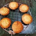 Eity Tripathi का कुकस्नैप जब उन्होंने आटे की खास्ता बिस्कुट (Aate ki khasta biscuit recipe in Hindi) बनाया था।