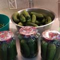 Judit Károlyné Csürke Cooksnap-ja, amikor elkészítette a(z) Csemege uborka télre receptet.
