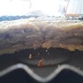 El cooksnap de Eugenia cuando hizo Crumble de manzanas.