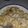 jenerator42087's cooksnap of when they made Beautifuldesign's Easy Cheesy Alfredo Sauce.