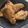 Cooksnap dari Anita untuk resep Pisang Goreng Pontianak
