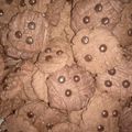 Cooksnap dari Hendra Prayoga untuk resep ChocoChips Cookies / Goodtime Cookies