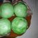 Cooksnap dari Putri Setia Laras untuk resep Bakpao kacang ijo