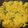 FoodDiva's cooksnap of when they made Vermicelli Upma.
