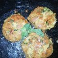 Misha Ali's cooksnap of when they made Dahi waly shami kabab.