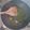สุรเทพ พิพัฒนสุข's cooksnap of when they made ผัดผักบุ้งไฟแดง.