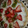El cooksnap de Yanibel Mendez cuando hizo Gelatina de colores original.