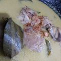 Cooksnap dari santy wigitasari untuk resep Opor Ayam Enak Gampang