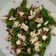 El cooksnap de Dersa cuando hizo Ensalada de pimientos de Padrón con taquitos de jamón ibérico y queso fresco de cabra.