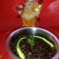 Shilpi gupta का कुकस्नैप जब उन्होंने चना मसाला(chana masala recipe in hindi) बनाया था।