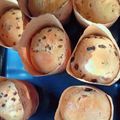 El cooksnap de Ana laura Da Silva cuando hizo Pan dulce navideño FÁCIL.