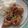 Cooksnap dari ila1626 untuk resep Korean Fried Chicken | Ayam Goreng ala Richeese