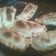 El cooksnap de Maria DAlessandro cuando hizo Empanadas de carne picada y papas, al horno o fritas.