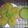Zesty Style's cooksnap of when they made Dhuska.