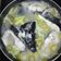 Cooksnap dari Retno Eka untuk resep Asem Asem Patin
