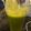 Layla (lulu)'s cooksnap of when they made Mint lemonade drink.