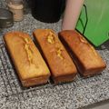 El cooksnap de norajobm cuando hizo Budín de naranja en licuadora 🍊.