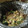 Crystal's cooksnap of when they made Crockpot Beef and Broccoli.