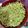 Cooksnap dari Yaricha Leonitasari untuk resep Mie goreng