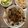 Cooksnap dari dyana sari untuk resep Ayam tangkap khas aceh