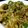 Hina Ibrahim's cooksnap of when they made Chicken pasta.
