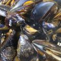 El cooksnap de Vivucandanchu cuando hizo Mejillones en salsa marinera.