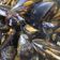 El cooksnap de Vivucandanchu cuando hizo Mejillones en salsa marinera.