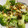 El cooksnap de Débora Cantero Martínez cuando hizo Ensalada de lentejas y brócoli.