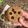 El cooksnap de Marieta cuando hizo Maxi cookie en airfryer 🍪.