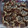 El cooksnap de Carmen Palomino cuando hizo Galletas multisabor.