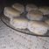 El cooksnap de Victoria Frugoni cuando hizo Alfajores de Maizena ❤️.