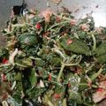 Cooksnap dari yoriza indrie untuk resep Tumis Daun Singkong dan teri