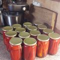 Sarolta Persei Cooksnap-ja, amikor elkészítette a(z) Olajos paprika télire receptet.