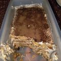 El cooksnap de Andy *Creación Y Delicias*🍴🍝🍷//🍮🥧🥄 cuando hizo Tiramisú (sin horno y sin huevo).