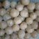 Cooksnap dari Febryani Risma untuk resep Cilok empuk, gak keras kalau dingin