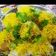 Tulsi Shaherawala's cooksnap of when they made દહીંપુરી (sevpuri in recipe gujarati).