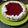 El cooksnap de mariel Alegre cuando hizo Tarta frutal con gelatina.