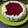 El cooksnap de mariel Alegre cuando hizo Tarta frutal con gelatina.
