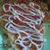 Cooksnap dari Farida Rahmawati untuk resep 111. Okonomiyaki
