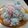 Cooksnap dari Nova untuk resep Klepon
