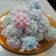 Cooksnap dari Nova untuk resep Klepon