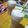 El cooksnap de Ximena Garcia cuando hizo Café frappé ☕ 🧊.