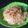 Cooksnap dari Lia Syahriati untuk resep Bihun goreng (no ribet)