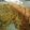 Khyati Dhaval Chauhan's cooksnap of when they made Methi lasunThepla.