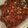 Cooksnap dari Kang Makan untuk resep Balado Teri Kacang