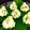 Smruti Rana's cooksnap of when they made Paan mawa modak.