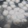Cooksnap dari Evrika Afnie untuk resep Bakso Sapi Blender