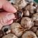 Cooksnap dari Julia"Revy" untuk resep Bawang Hitam Magic Com