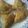 Priya Vinod Dhamechani's cooksnap of when they made Samosa.