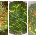 Cooksnap dari mami Yupi untuk resep Oseng Daun Pepaya